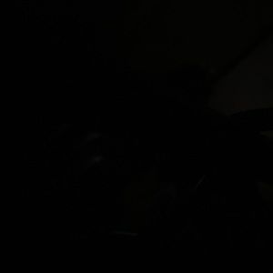 Meet your Posher, Don